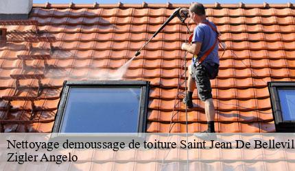 Nettoyage demoussage de toiture  saint-jean-de-belleville-73440 Zigler Angelo