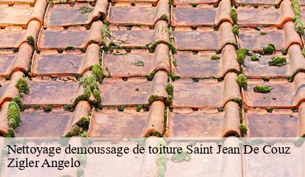 Nettoyage demoussage de toiture  saint-jean-de-couz-73160 Zigler Angelo