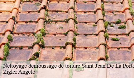 Nettoyage demoussage de toiture  saint-jean-de-la-porte-73250 Zigler Angelo