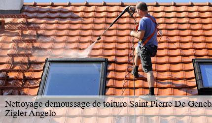 Nettoyage demoussage de toiture  saint-pierre-de-genebroz-73360 Zigler Angelo