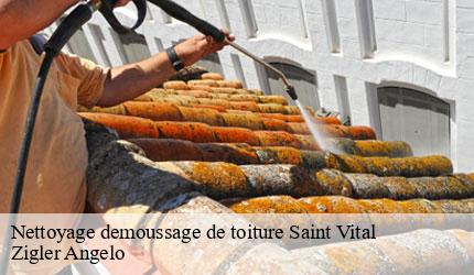 Nettoyage demoussage de toiture  saint-vital-73460 Zigler Angelo