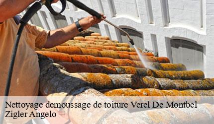 Nettoyage demoussage de toiture  verel-de-montbel-73330 Zigler Angelo