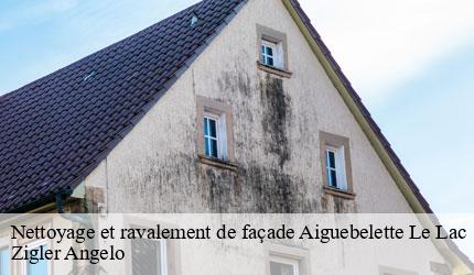 Nettoyage et ravalement de façade  aiguebelette-le-lac-73610 Zigler Angelo