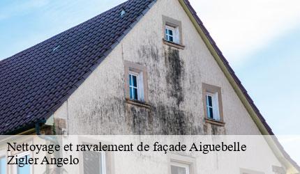 Nettoyage et ravalement de façade  aiguebelle-73220 Zigler Angelo