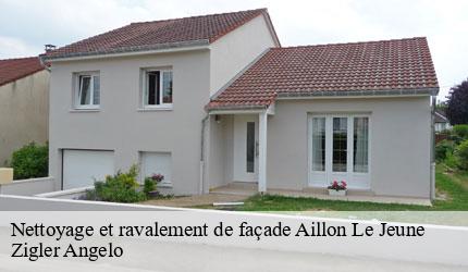 Nettoyage et ravalement de façade  aillon-le-jeune-73340 Zigler Angelo