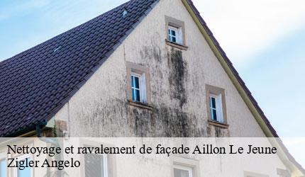 Nettoyage et ravalement de façade  aillon-le-jeune-73340 Zigler Angelo