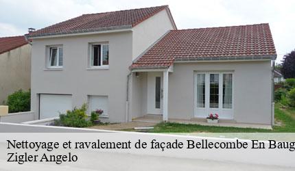 Nettoyage et ravalement de façade  bellecombe-en-bauges-73340 Zigler Angelo