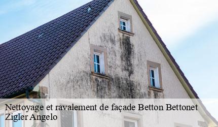 Nettoyage et ravalement de façade  betton-bettonet-73390 Zigler Angelo