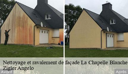 Nettoyage et ravalement de façade  la-chapelle-blanche-73110 Zigler Angelo