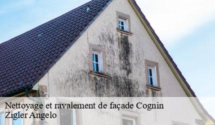 Nettoyage et ravalement de façade  cognin-73160 Zigler Angelo