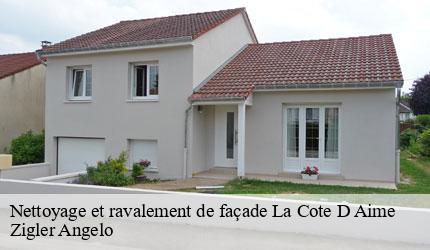 Nettoyage et ravalement de façade  la-cote-d-aime-73210 Zigler Angelo