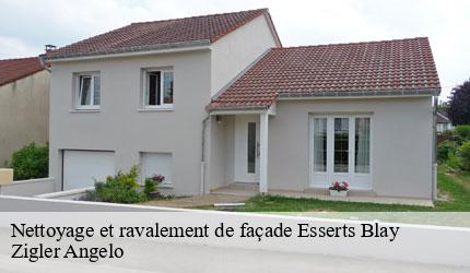 Nettoyage et ravalement de façade  esserts-blay-73540 Zigler Angelo