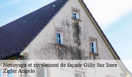 Nettoyage et ravalement de façade  gilly-sur-isere-73200 Zigler Angelo