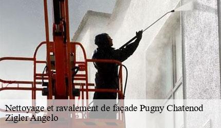 Nettoyage et ravalement de façade  pugny-chatenod-73100 Zigler Angelo