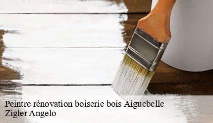 Peintre rénovation boiserie bois  aiguebelle-73220 Zigler Angelo