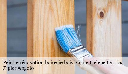 Peintre rénovation boiserie bois  sainte-helene-du-lac-73800 Zigler Angelo