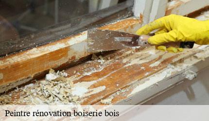 Peintre rénovation boiserie bois  tessens-73210 Zigler Angelo