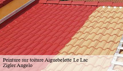 Peinture sur toiture  aiguebelette-le-lac-73610 Zigler Angelo