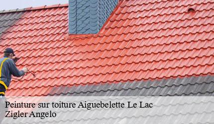 Peinture sur toiture  aiguebelette-le-lac-73610 Zigler Angelo