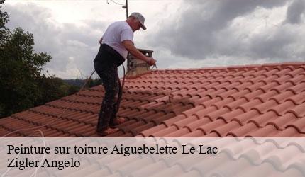 Peinture sur toiture  aiguebelette-le-lac-73610 Zigler Angelo