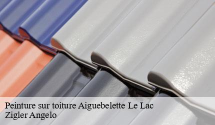 Peinture sur toiture  aiguebelette-le-lac-73610 Zigler Angelo