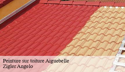 Peinture sur toiture  aiguebelle-73220 Zigler Angelo