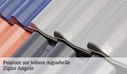 Peinture sur toiture  aiguebelle-73220 Zigler Angelo