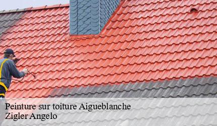 Peinture sur toiture  aigueblanche-73260 Zigler Angelo