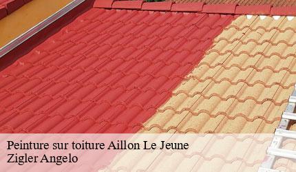 Peinture sur toiture  aillon-le-jeune-73340 Zigler Angelo