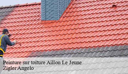 Peinture sur toiture  aillon-le-jeune-73340 Zigler Angelo