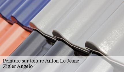 Peinture sur toiture  aillon-le-jeune-73340 Zigler Angelo