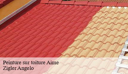 Peinture sur toiture  aime-73210 Zigler Angelo