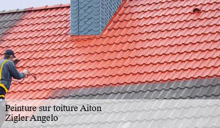 Peinture sur toiture  aiton-73220 Zigler Angelo