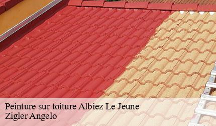 Peinture sur toiture  albiez-le-jeune-73300 Zigler Angelo