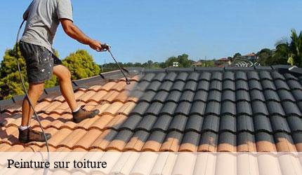 Peinture sur toiture  albiez-le-jeune-73300 Zigler Angelo