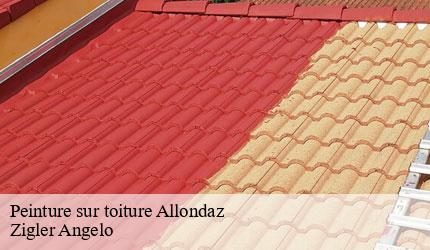 Peinture sur toiture  allondaz-73200 Zigler Angelo