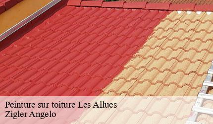 Peinture sur toiture  les-allues-73550 Zigler Angelo