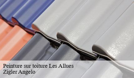 Peinture sur toiture  les-allues-73550 Zigler Angelo