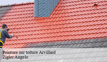 Peinture sur toiture  arvillard-73110 Zigler Angelo