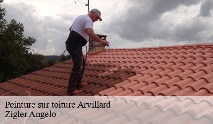 Peinture sur toiture  arvillard-73110 Zigler Angelo