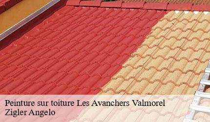 Peinture sur toiture  les-avanchers-valmorel-73260 Zigler Angelo