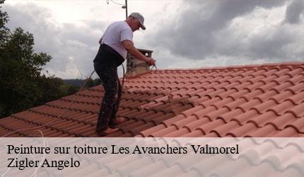 Peinture sur toiture  les-avanchers-valmorel-73260 Zigler Angelo