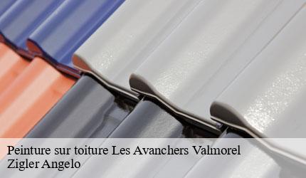 Peinture sur toiture  les-avanchers-valmorel-73260 Zigler Angelo