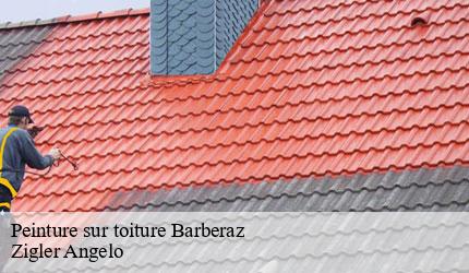 Peinture sur toiture  barberaz-73000 Zigler Angelo