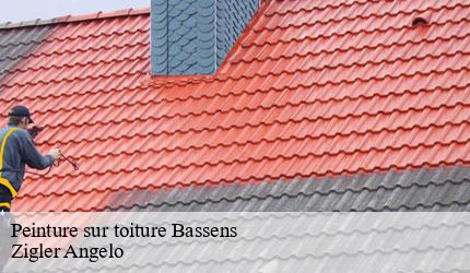 Peinture sur toiture  bassens-73000 Zigler Angelo