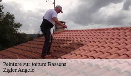 Peinture sur toiture  bassens-73000 Zigler Angelo