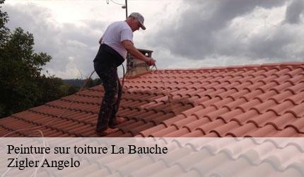 Peinture sur toiture  la-bauche-73360 Zigler Angelo