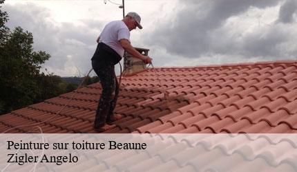 Peinture sur toiture  beaune-73140 Zigler Angelo