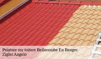 Peinture sur toiture  bellecombe-en-bauges-73340 Zigler Angelo