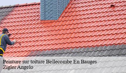 Peinture sur toiture  bellecombe-en-bauges-73340 Zigler Angelo